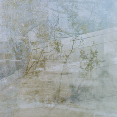 tredding,, redprints ,, ,