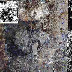 LesOiseaux+____ime