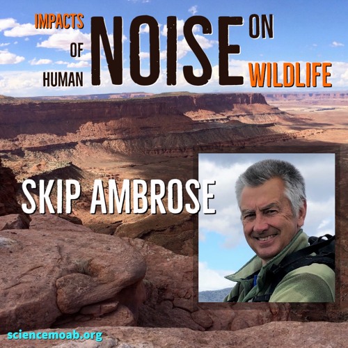 Impacts of Human Noise on Wildlife