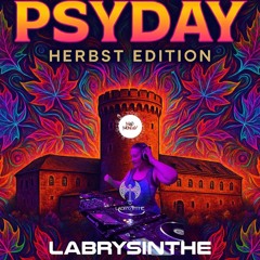 Labrysinthe live/DJ set at PsyDay, 17 October 2025