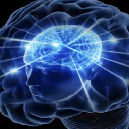 Big Brain meme