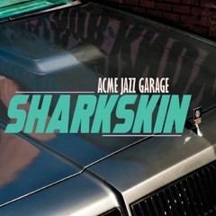 12. Sharkskin Suit (radio edit)