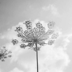 Coming Over Me Again