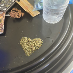 Black Dragon Freestyle