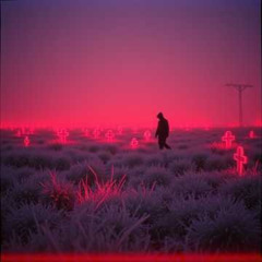 Neon Burial Field
