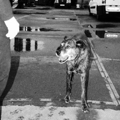 Untitled 12 13122025