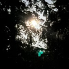 Moonlight