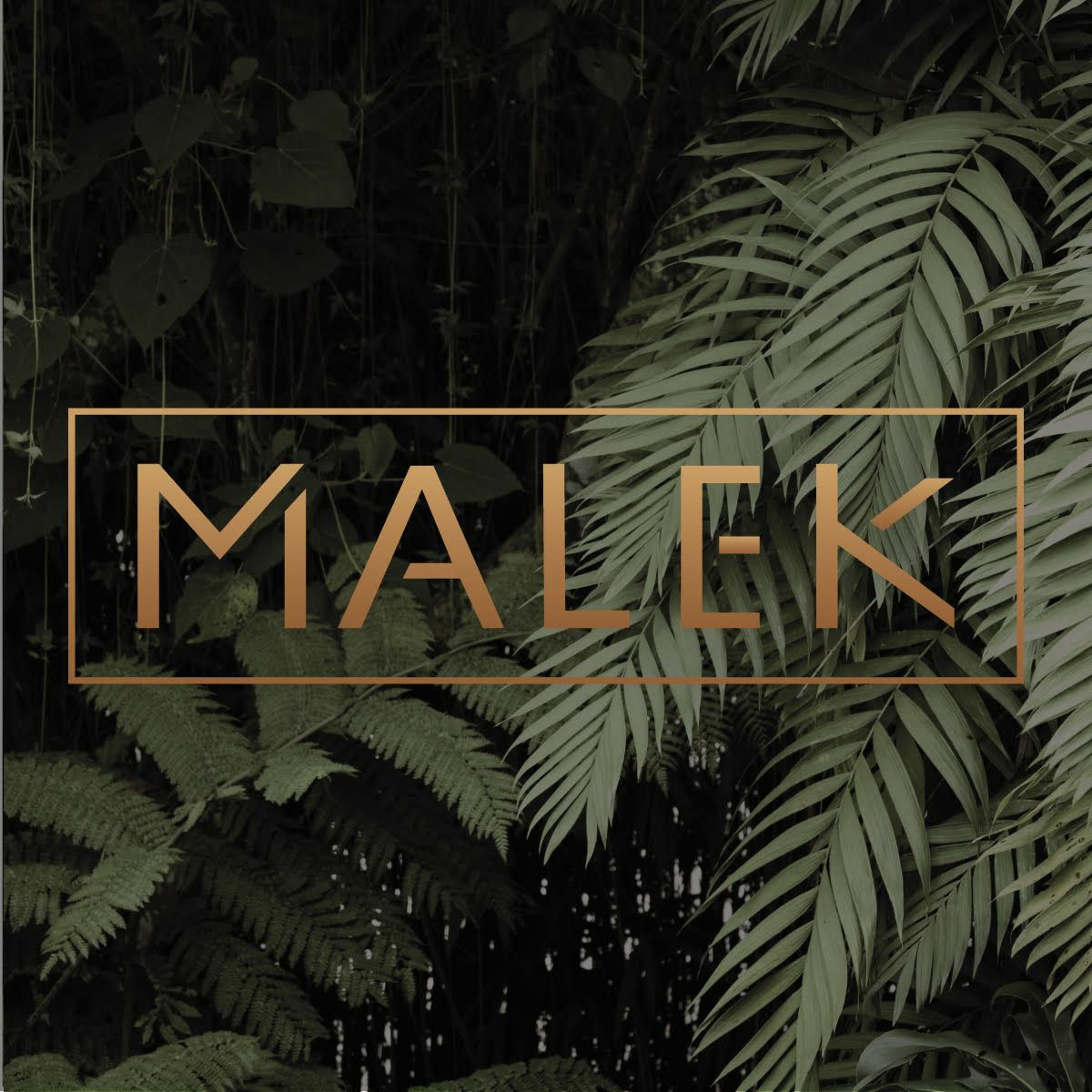 Malek\'s Podcast