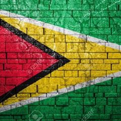 GUYANA OLD DUBS IN DA MIX- DJ SEAN