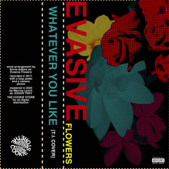 WHATEVER YOU LIKE (T.I. COVER) (prod. by Evasive Flowers)