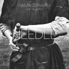 Ramin Djawadi - Needle (Live)