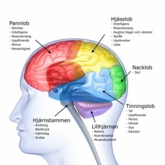 En mycket intelligent låt