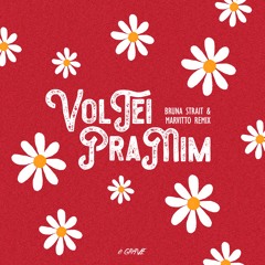 Voltei Pra Mim - Marina Sena (Bruna Strait & Marvitto Remix)
