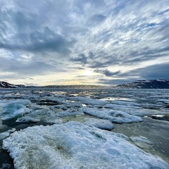 The Reason (Vesselinov Original Mix)