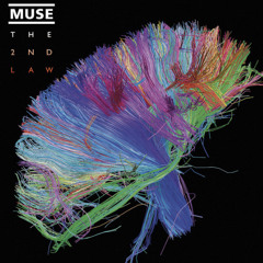 Muse- Madness (cover)