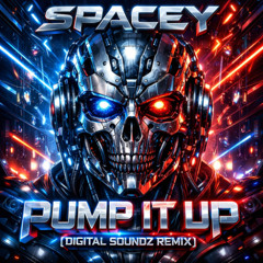 Pump It Up (Digital Soundz Remix)
