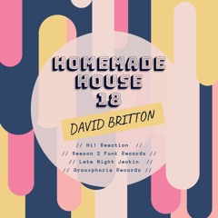 Homemade House 18 - David Britton