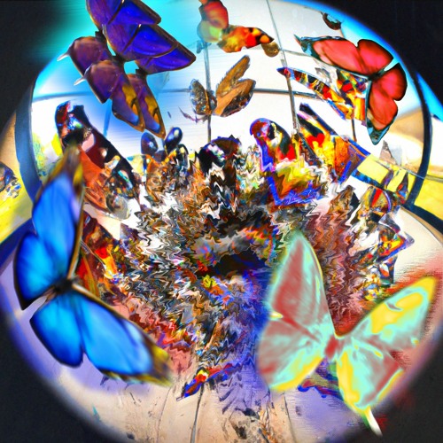 West Code - Precisione [BTY009]