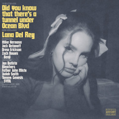 Let The Light In ft. Father John Misty (Instrumental) - lana del rey
