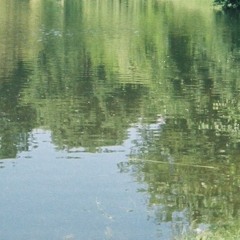 fikołki