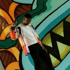 2020 VISION FREESTYLE