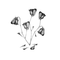 blxck lxngs blxck hxxrt (prod. zarelli)