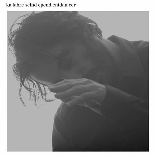 Fresh And Foolish (feat. Sarah Palin) (Original Mix)