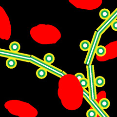 RADIO ALHARA - صوت الروح soul fortis - Ep.2 - A World without Tenderness is like a Flower w/o Petals