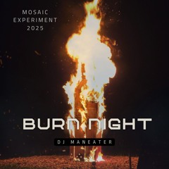 Burn Night at Cozy Chateau - Mosaic Experiment (Oct 2025)