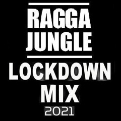 Vol.23 Ragga Jungle DJ K.M.L Lockdown Mix