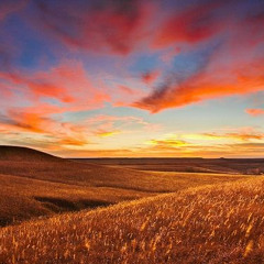 Words From The Poster (partial/rehearsal)