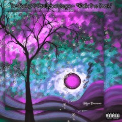 ToyBokz & Prettyboylego - "Walk The Dark"