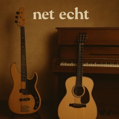 Hanging Nothing but the thieves cover (Acustic)
