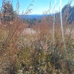 In Praise of Winter 27Jun24