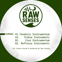 Premiere: 1 - Raw Senses - Tenebris Instrumentum [RSM002]