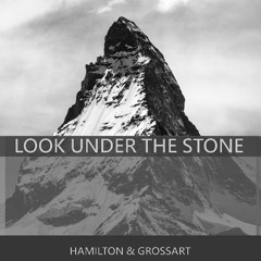 Look Under the Stone