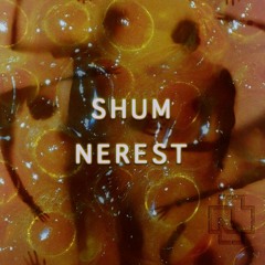 Wasshum - Nerest (Rammstein Edit)