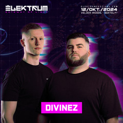 Divinez - Elektrum Festival 2024 DJ Contest (WINNING SET Mainstage)