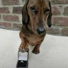 SE PRA TU TA BOM PRA MIM TAMBÉM, MELHOR COISA É FICAR SOLTEIRO VERSÃO FUNK [ MATHEUS SUCESSO ] 2025