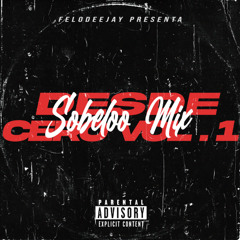 #3 Sobeloo - Desde Cero Vol .1