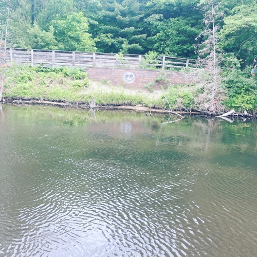 Skydxddy🏳️‍🌈💋🤍