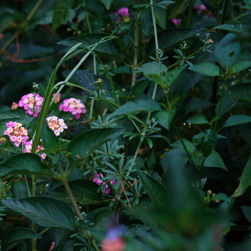 2025-10-26-TheDoctrineOfGodRevealedThroughChristPt11t