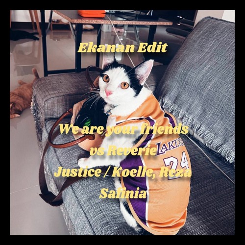 Reverie vs We Are Your Friends - Ekanan