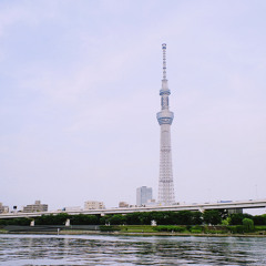 なつのひ