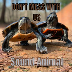 Don't Mess with Us