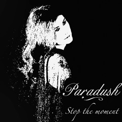 Stop The Moment
