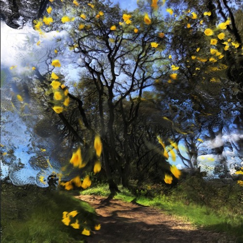 Skywards