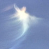 VAP1D live @ Trans*cendent LA january 2025 DJ mix artwork - Electronic music tracklist cover image