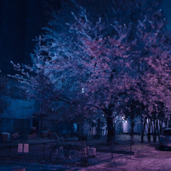 春が降る - 終日柄