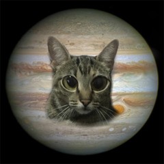 O Planeta Júpiter É Tão Grande Como Os Olhos Da Gata Tagarela Galática